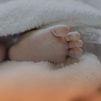 Four Seasons Resort Orlando à Walt Disney World Resort - bassinet