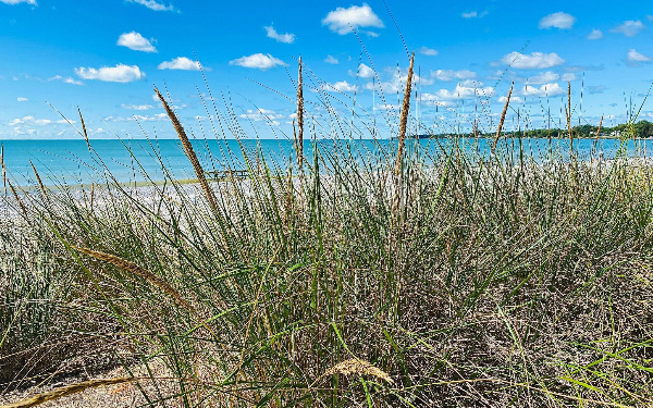 NORTH BEACH undefined