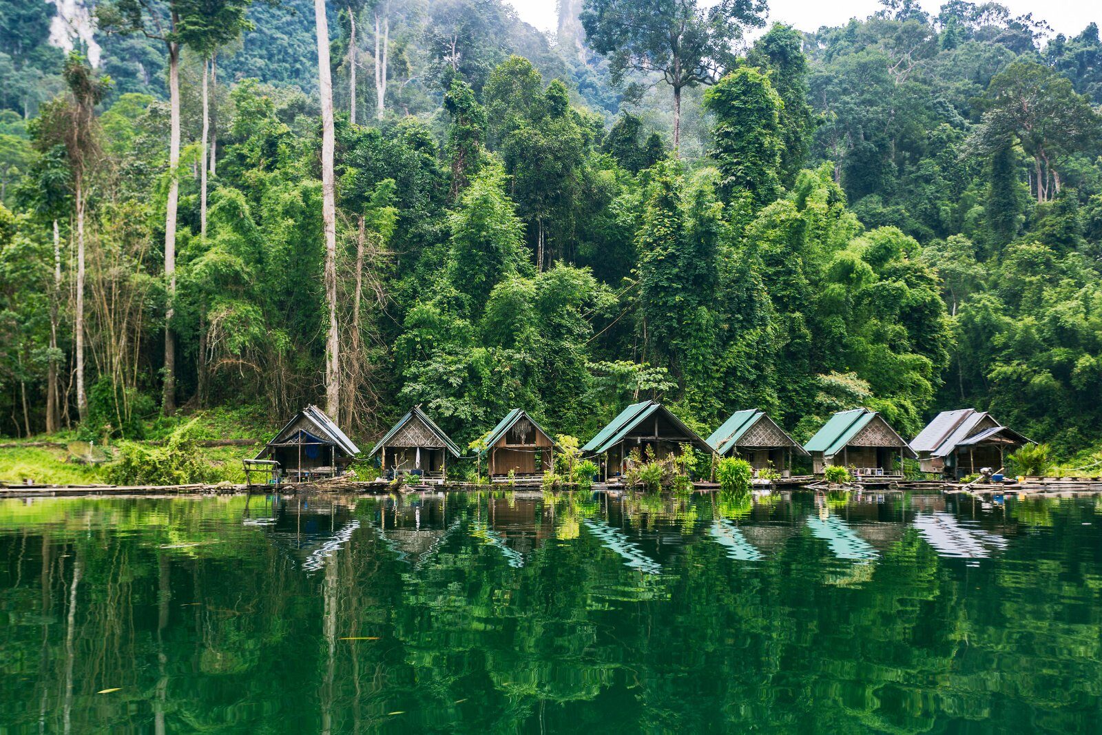 Bungalows flottants au bord de la jungle de Khao Sok