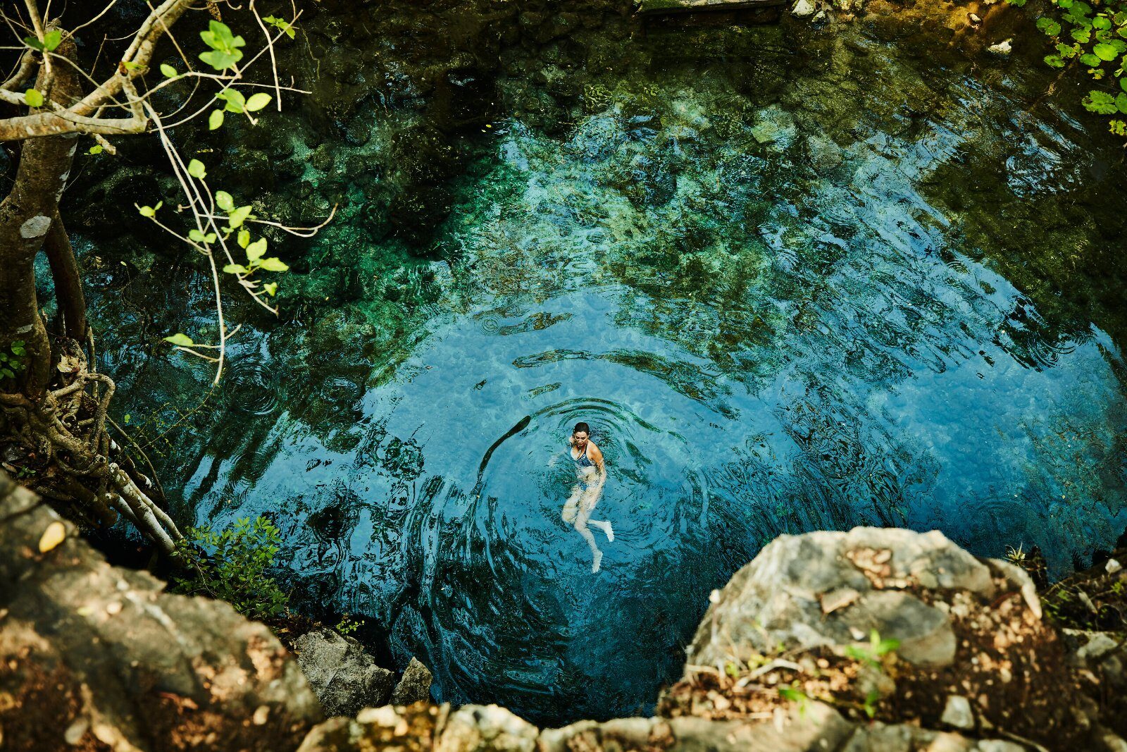 Cénote aux eaux turquoise dans la forêt du Yucatán