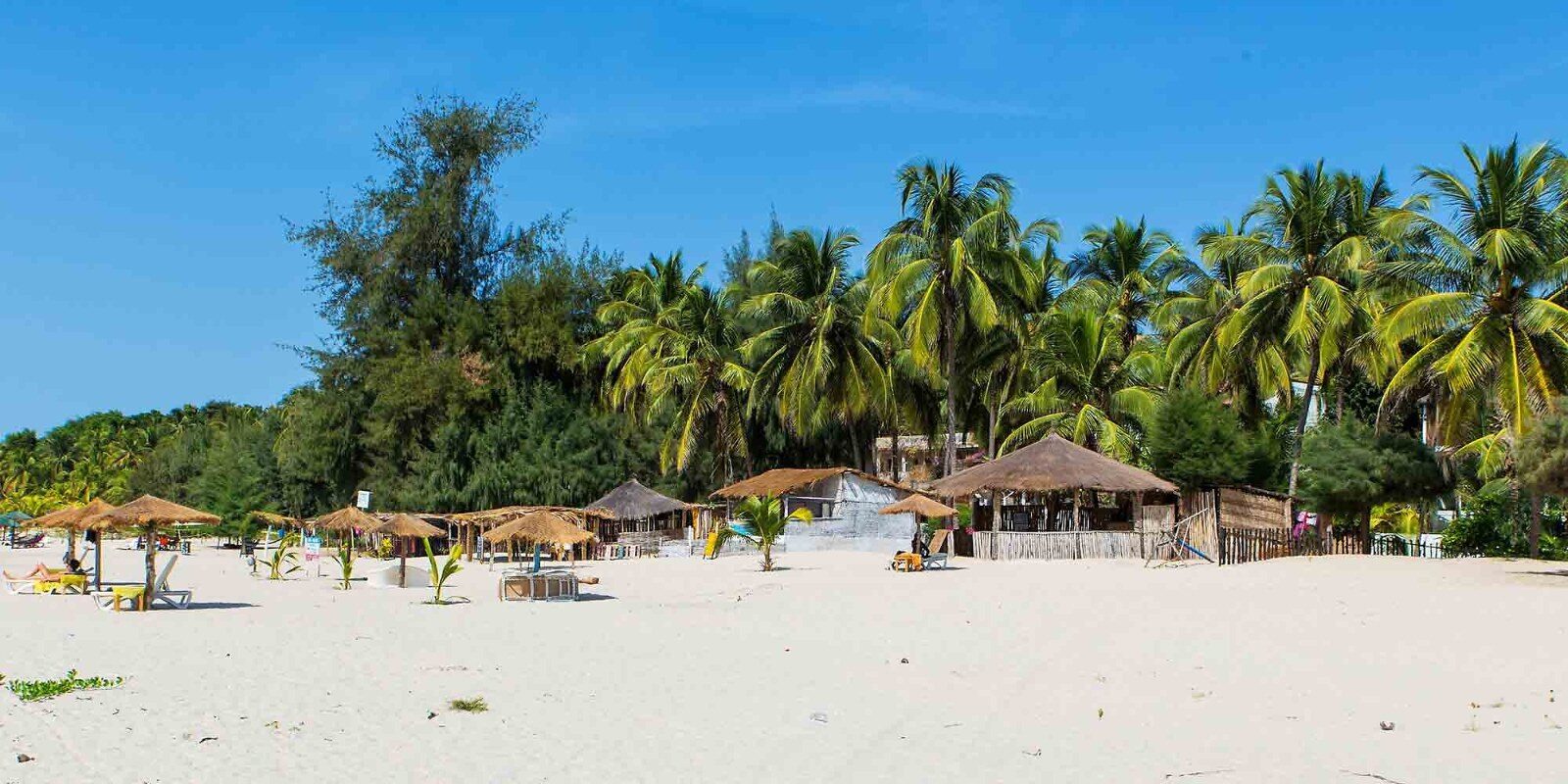 White sand beach lined with palm trees in West Africa White sand beach lined with palm trees in West Africa