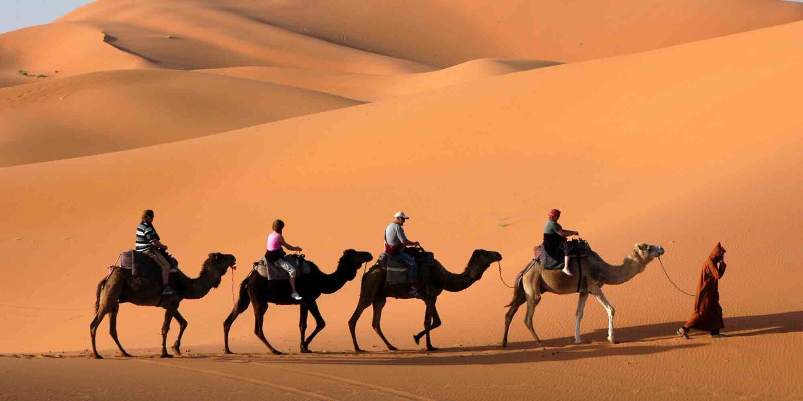 A camel caravan in the dunes of the Moroccan desert A camel caravan in the dunes of the Moroccan desert