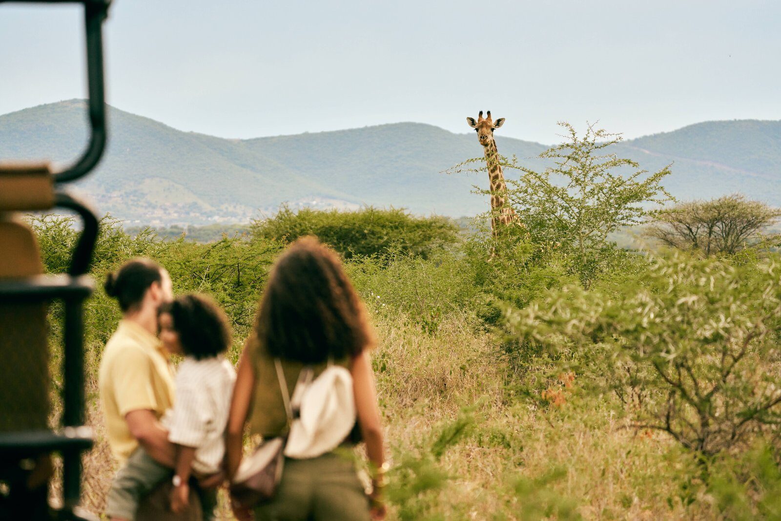 Meeting a giraffe on a safari in South Africa