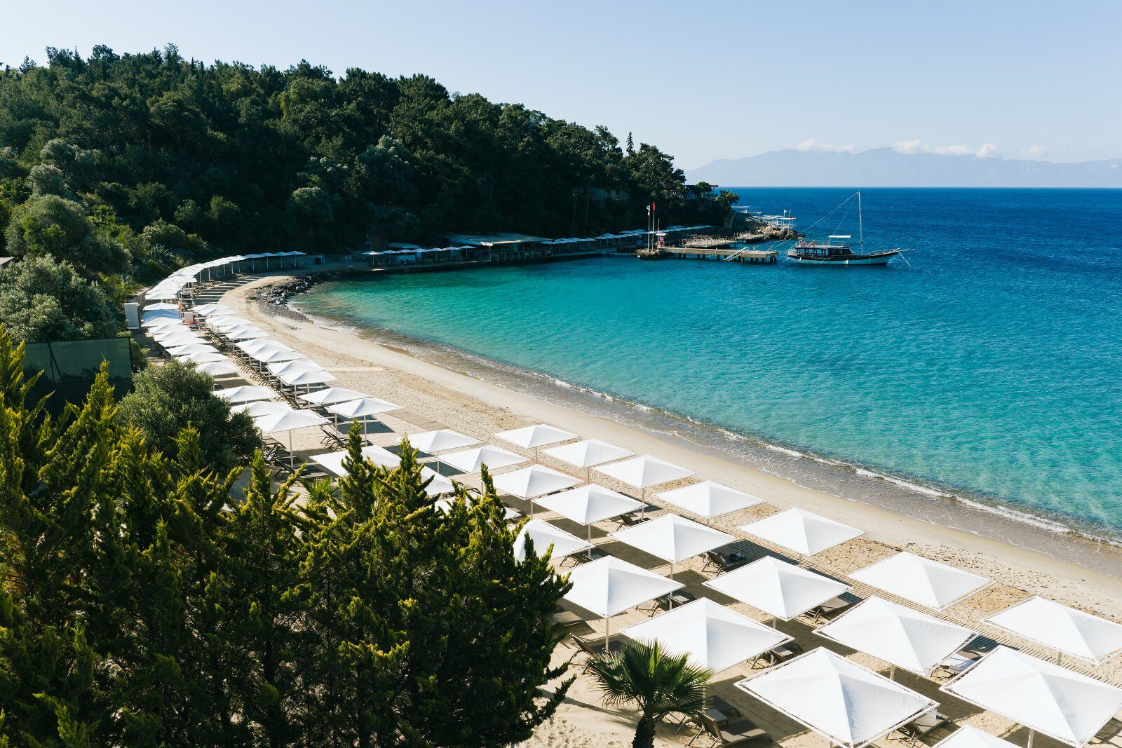 Plage et pins parasols au Club Med Bodrum Palmiye