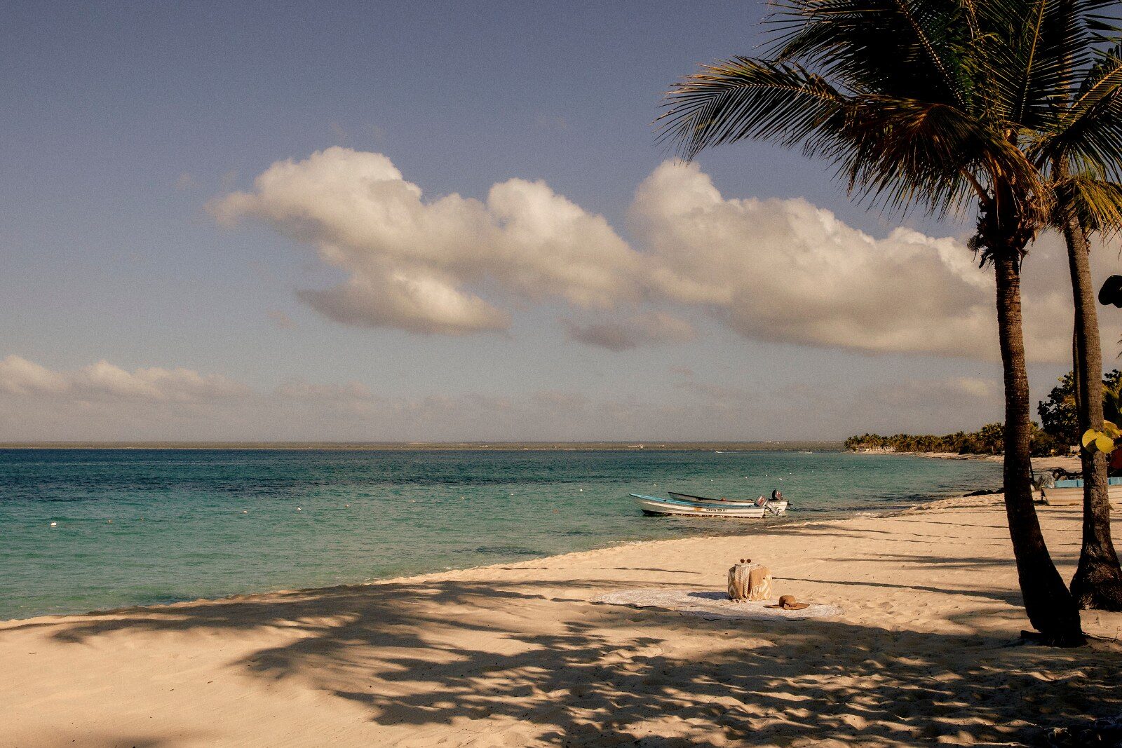 White sand beach lined with palm trees in the Caribbean White sand beach lined with palm trees in the Caribbean