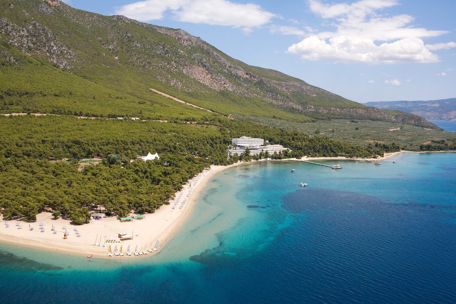 A pine-fringed beach on a Greek coast A pine-fringed beach on a Greek coast