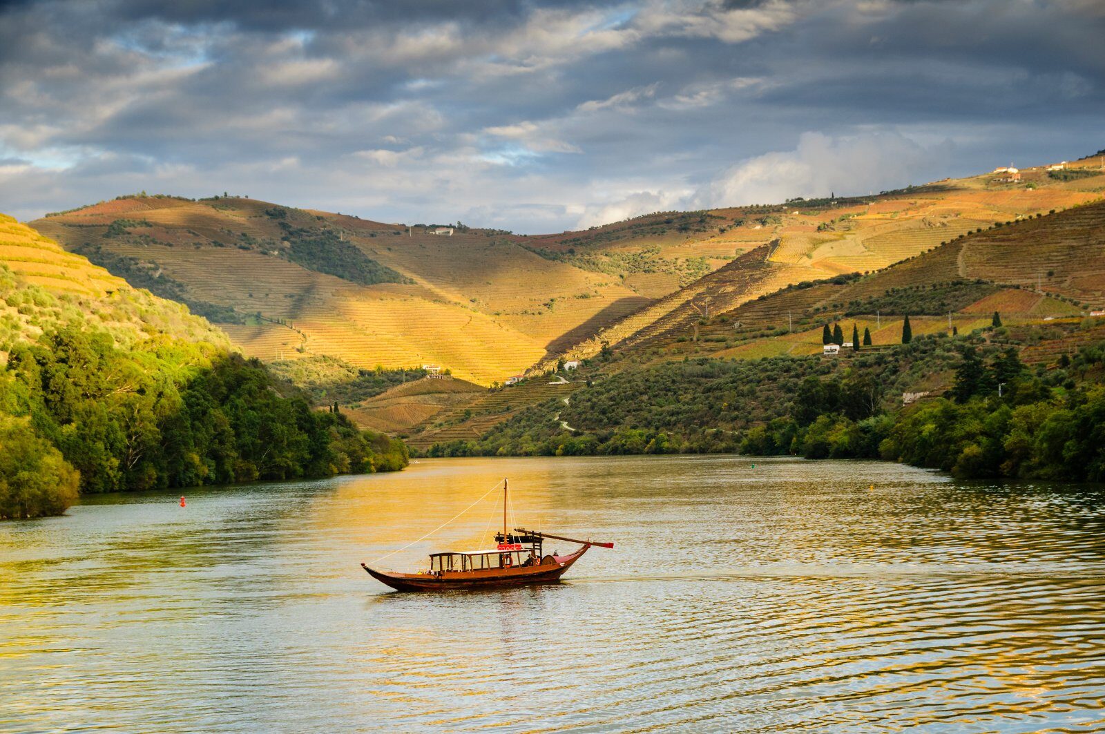Douro Valley at sunset