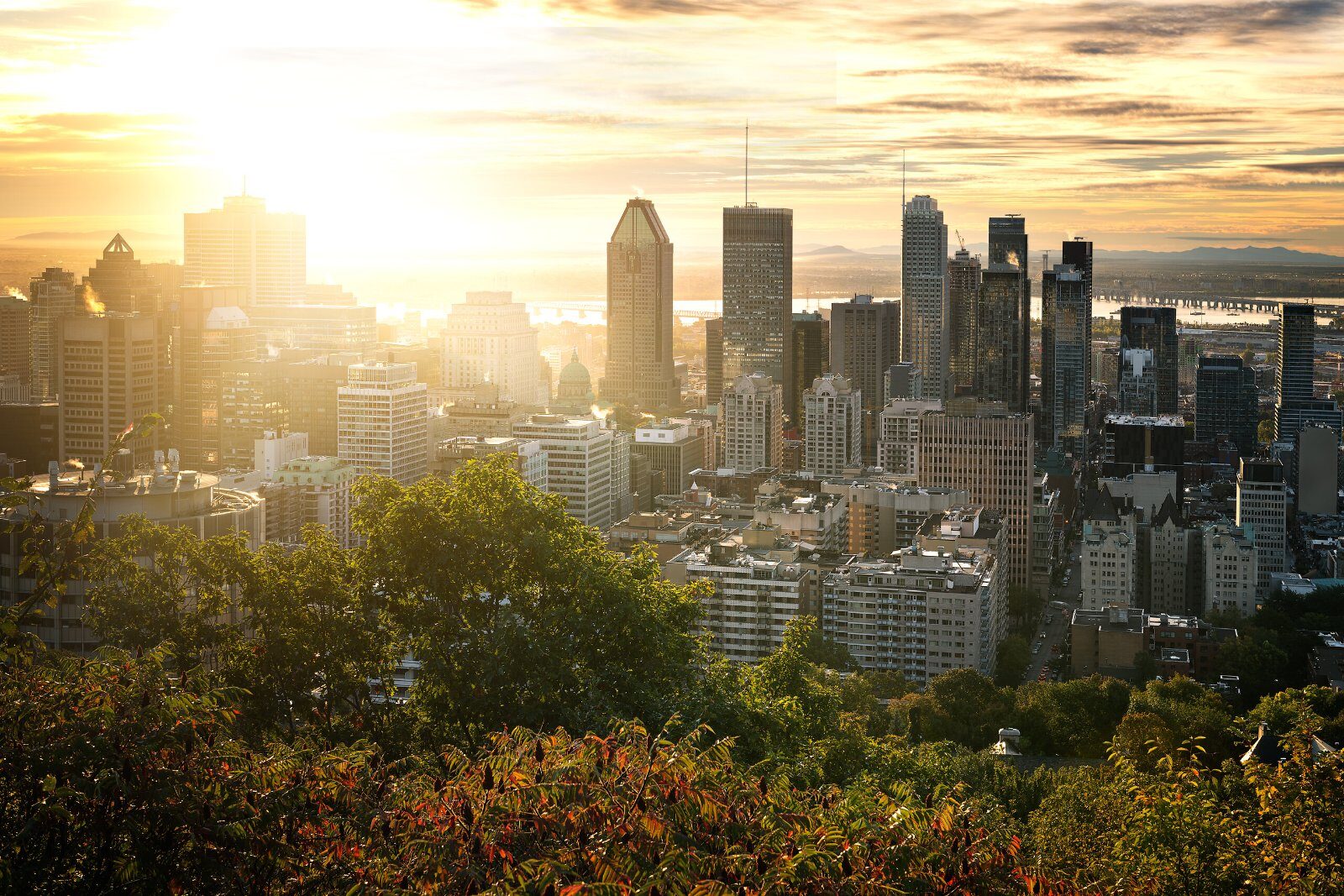 Skyscrapers of a major Canadian city at sunrise
