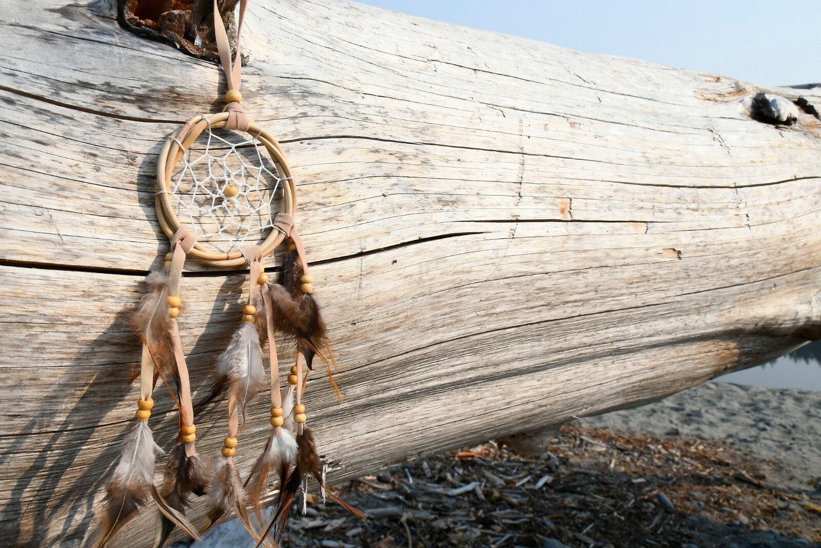 Dreamcatcher hanging from a branch