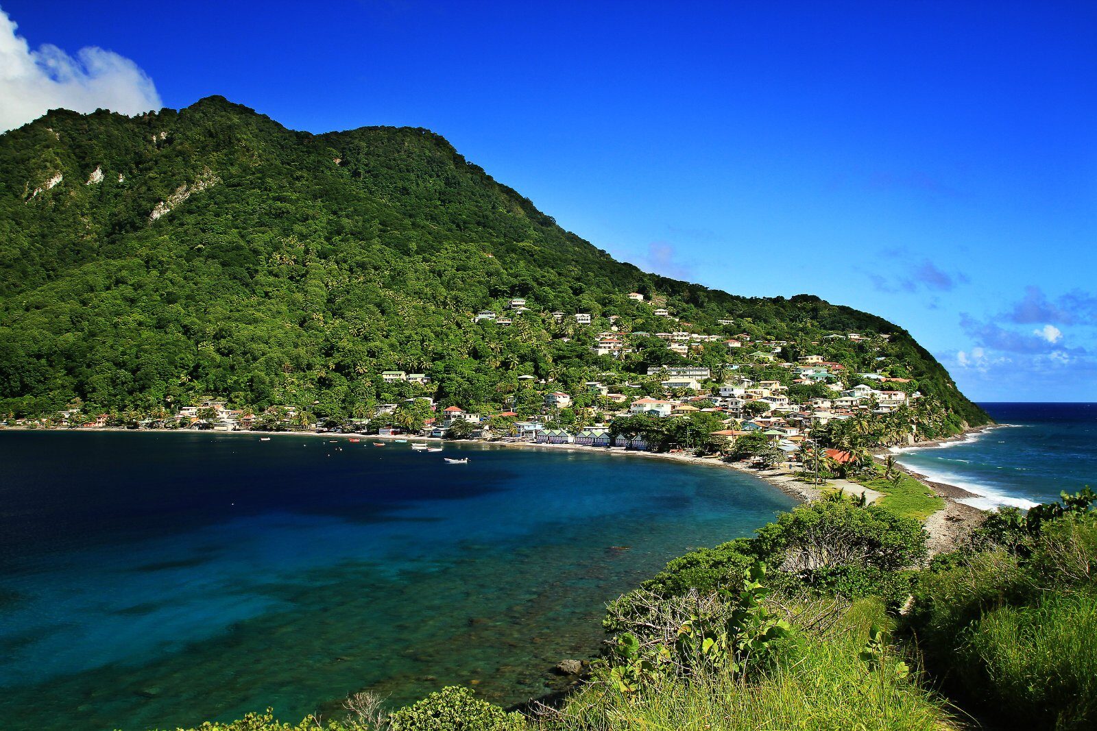 Green bay on an island of the Antilles