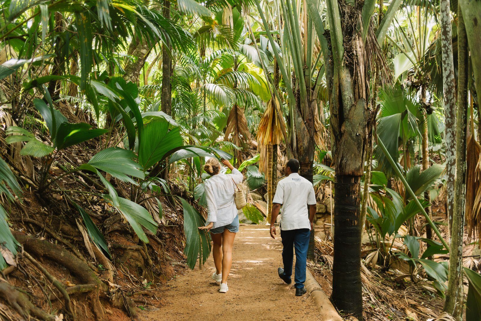 Walkers in the Vallée de Mai forest, Praslin