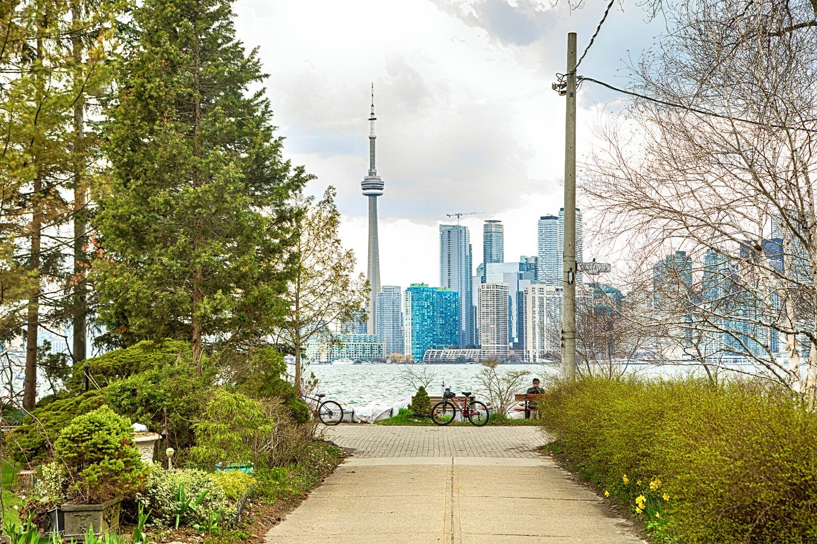 Garden and CN Tower in Toronto
