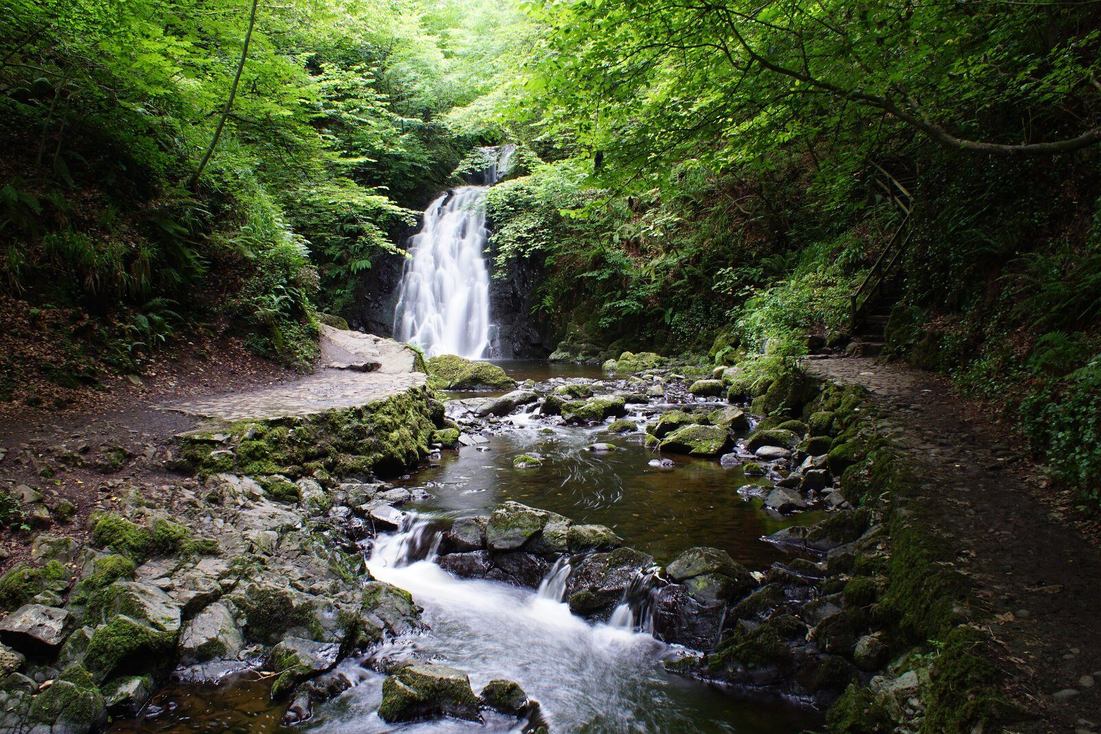 Waterfall in an Irish forest