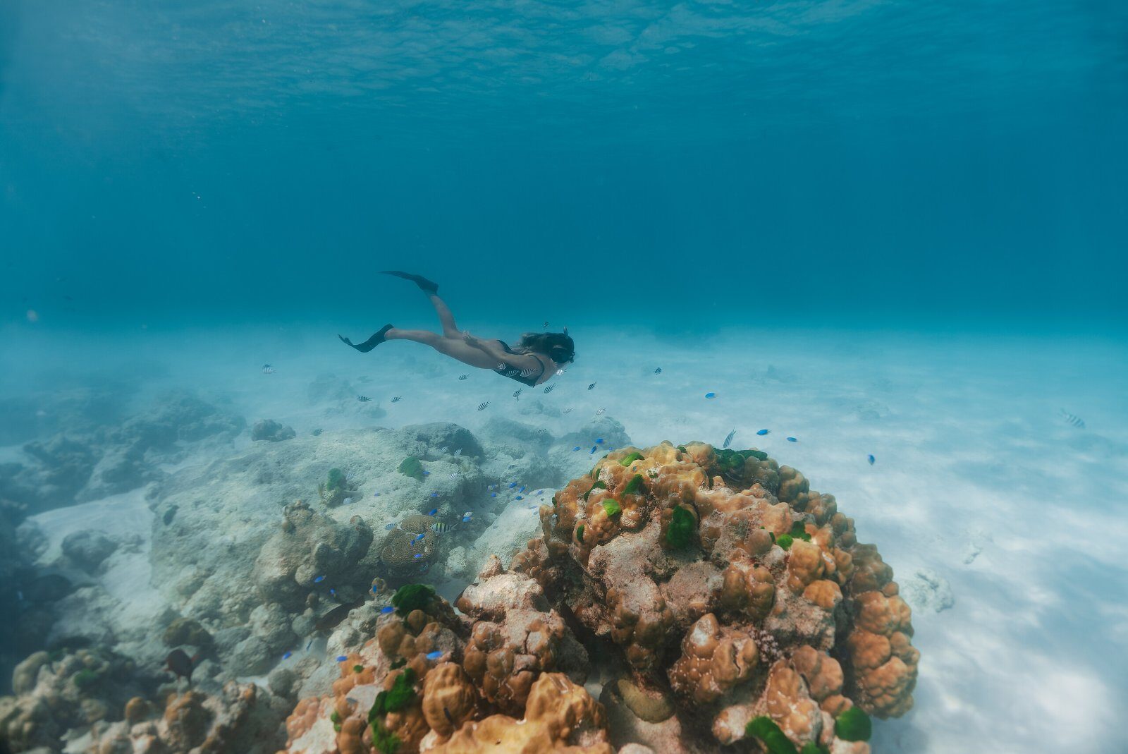 Snorkelling over a Seychelles reef