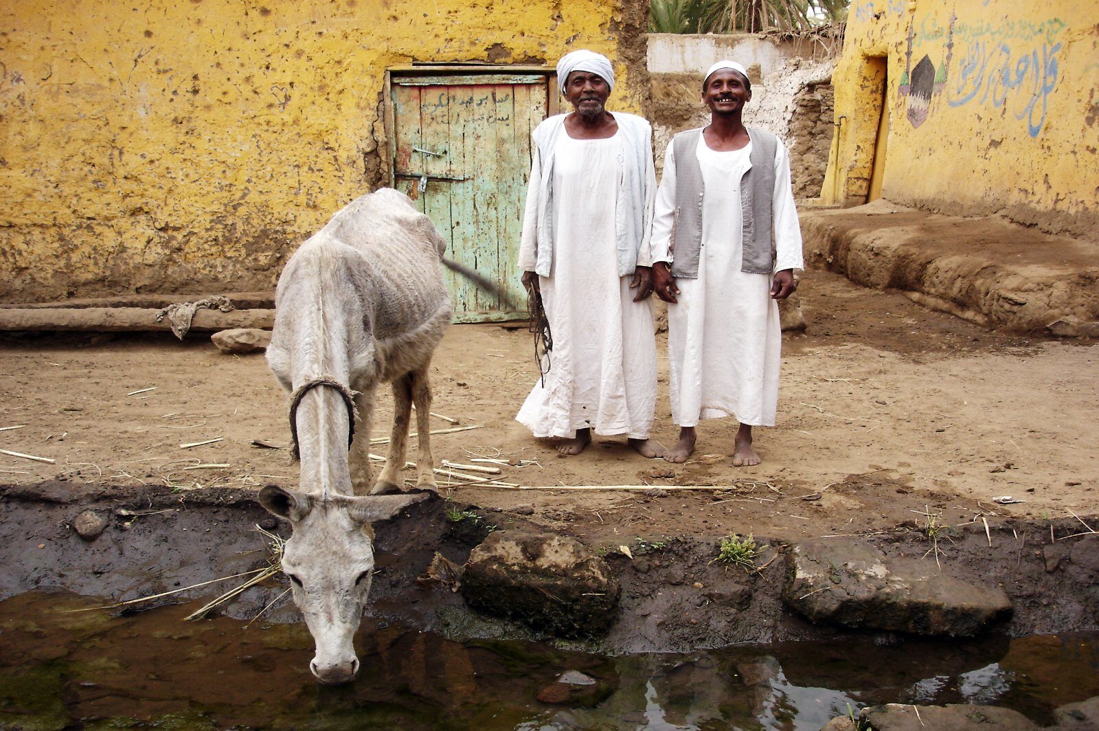 Villagers and a camel in a village by the Nile