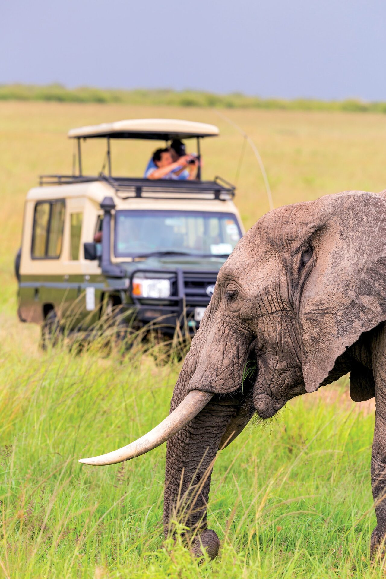 Safari vehicle on the savannah