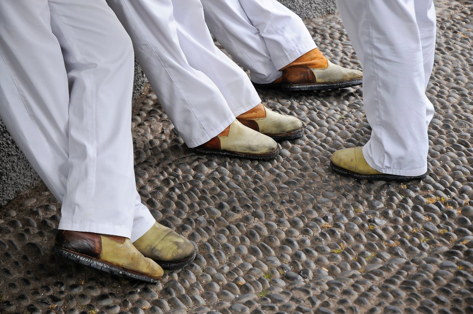 Dancers in traditional Madeiran costume