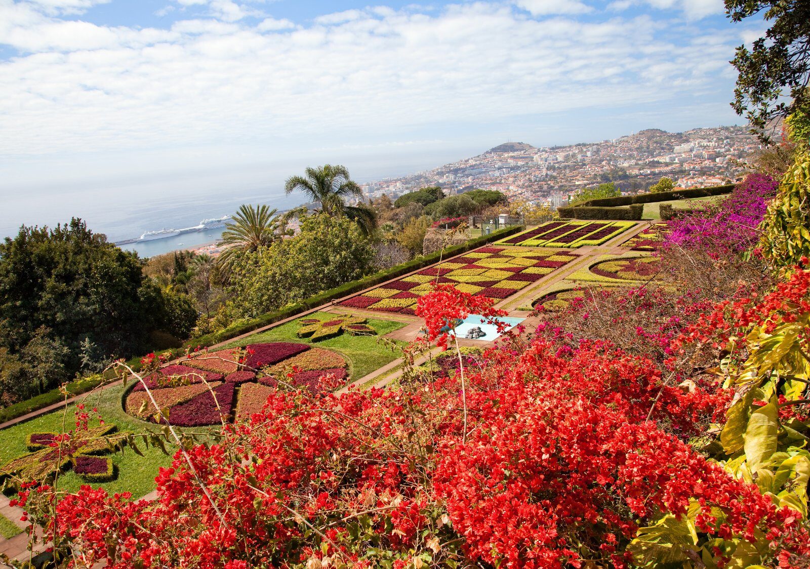 Flower beds in a Funchal garden