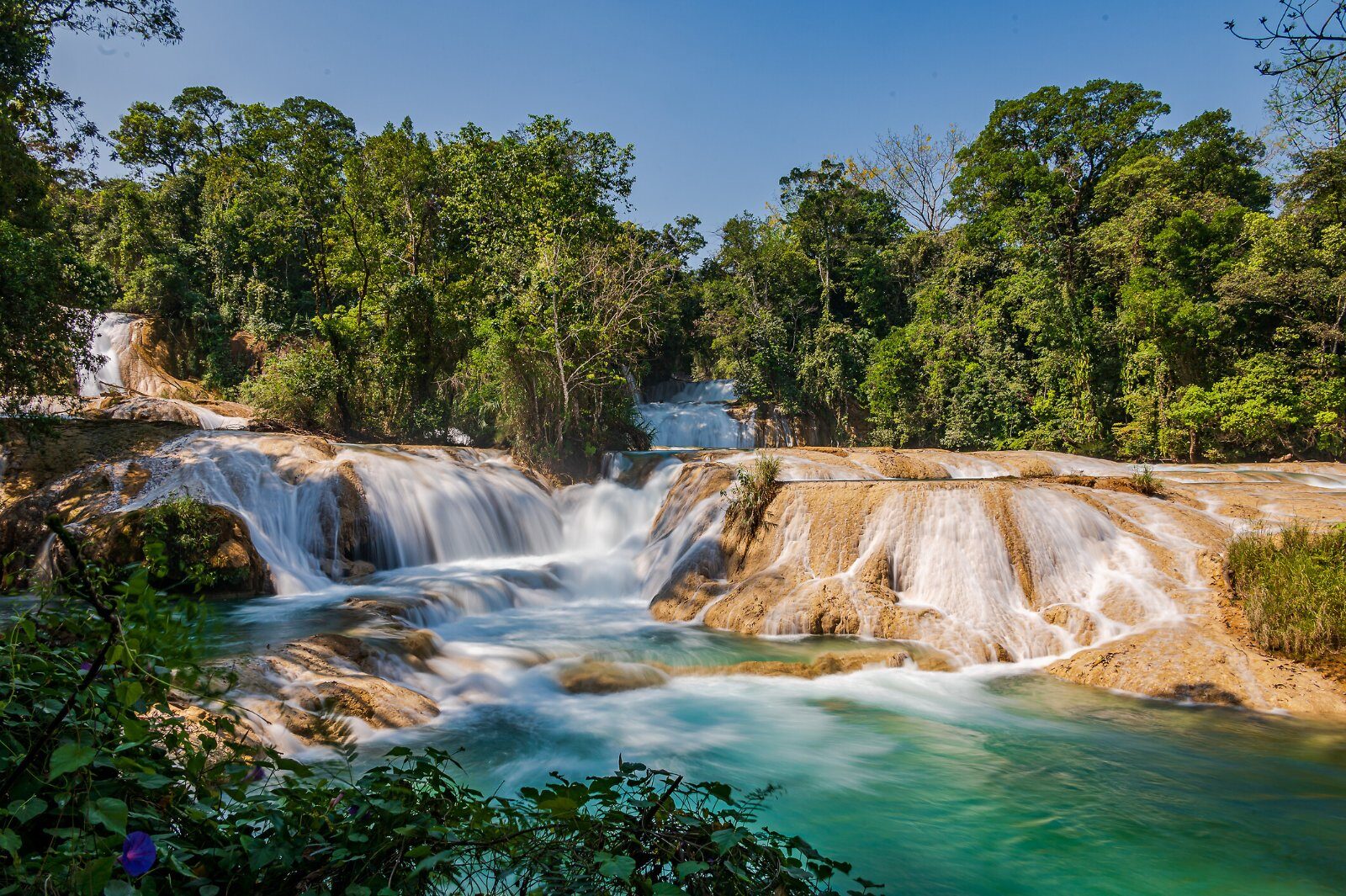 Turquoise cascades of Agua Azul, Chiapas