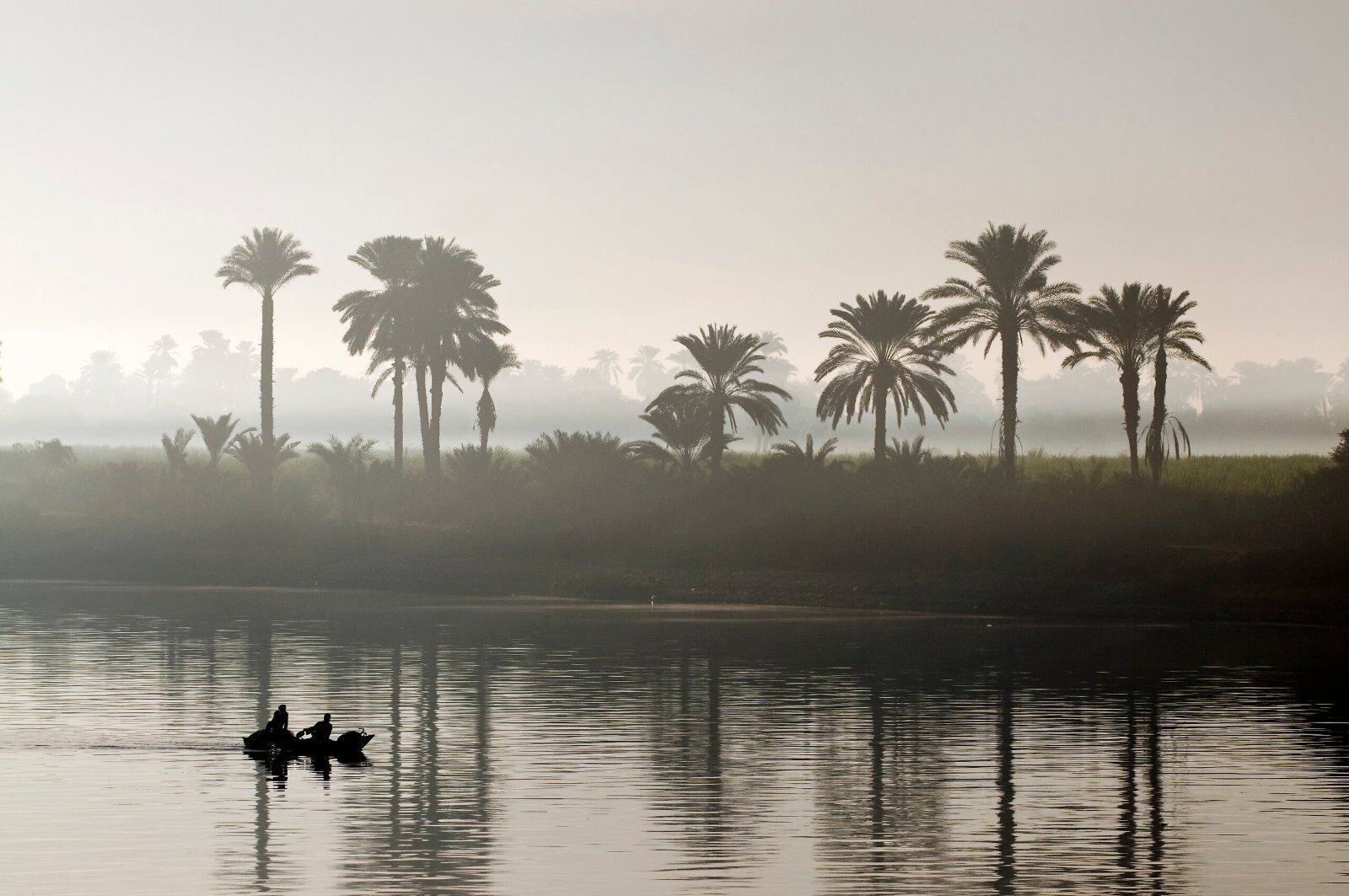 Palm trees on the Nile in the morning mist