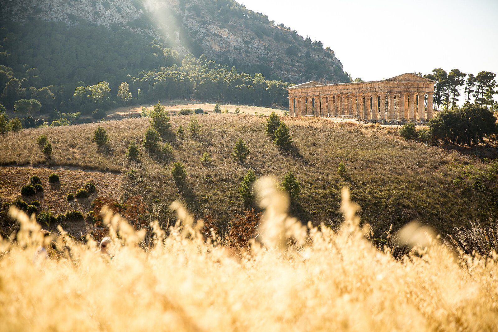 Golden countryside in inland Sicily