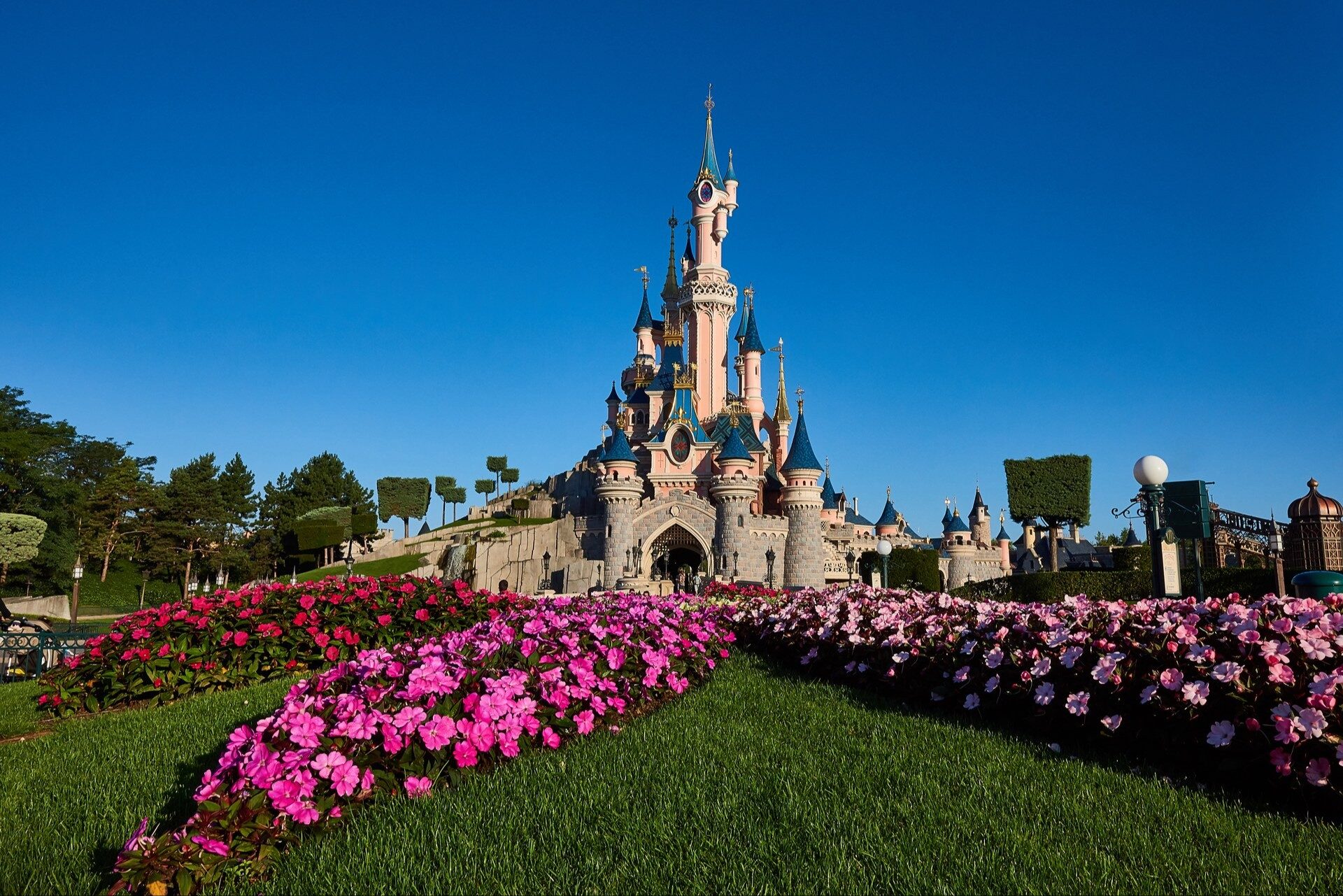 Sleeping Beauty Castle in Disneyland Park, behind beds of pink flowers and a green lawn. Photo: ©Disney.