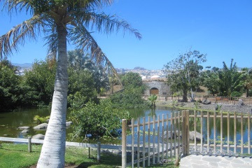 exotique iles canaries 5 fr