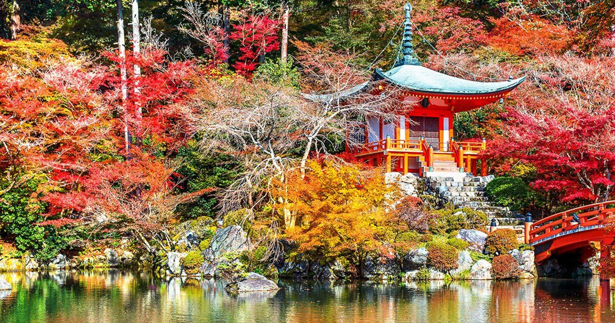 Le Japon hors des sentiers battus