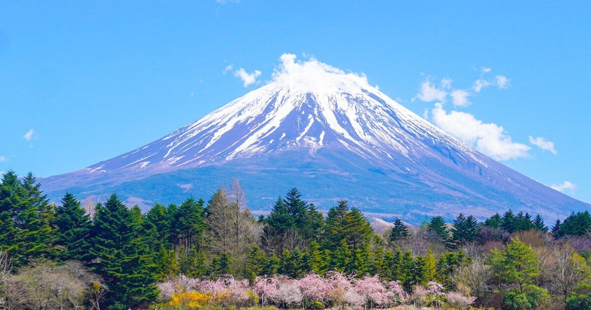 Le whisky japonais et ses distilleries