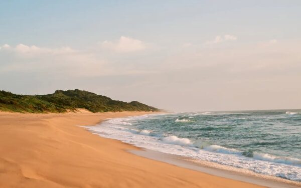 Une longue plage de sable doré bordée par une végétation naturelle, où les vagues de l’océan viennent doucement se briser sous un ciel lumineux d’Afrique du Sud