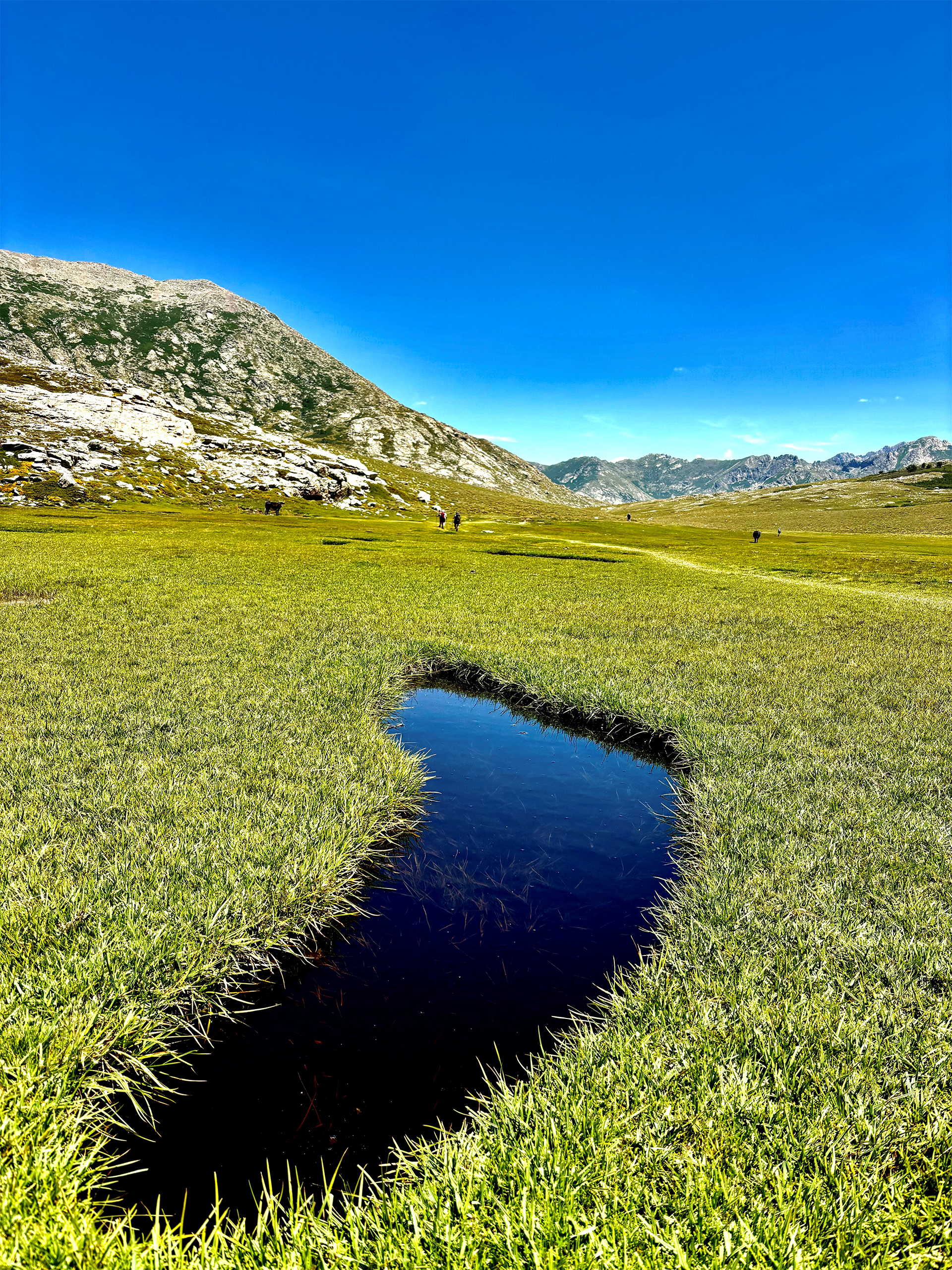Magnifique pozzine sur le GR20 Magnifique pozzine sur le GR20