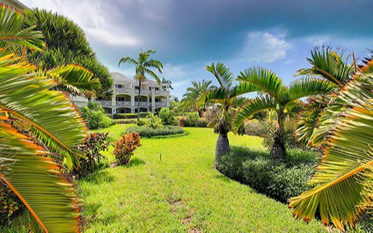 Jardin