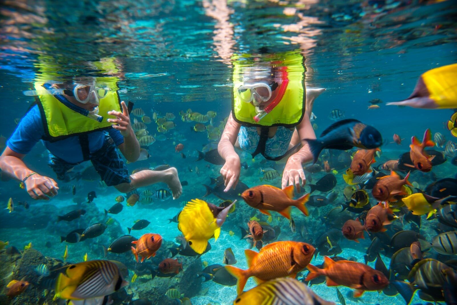 Two guests snorkelling among the tropical fish of Rainbow Reef at Aulani