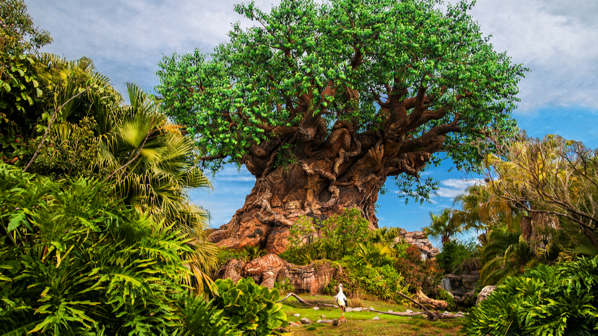 The Tree of Life