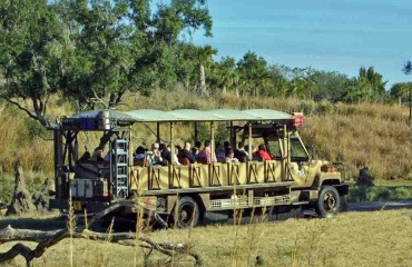 UN SAFARI DIGNE DE L’INDIANA JONES EN VOUS 1 fr