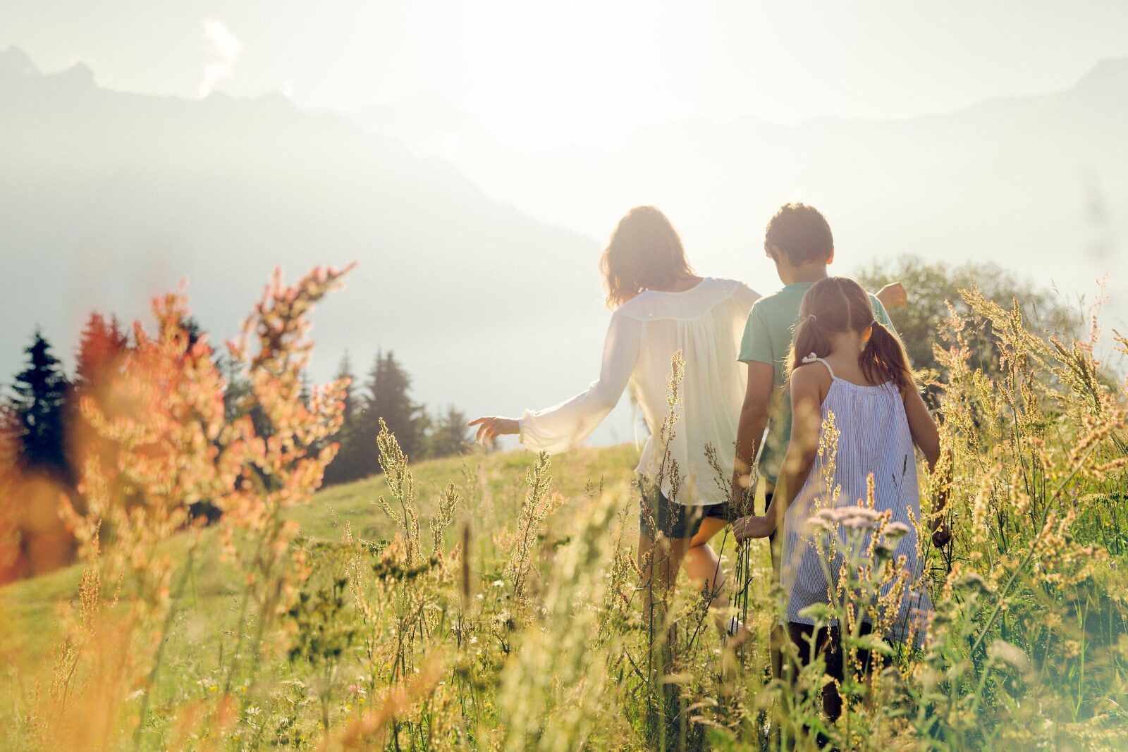 Famille en balade dans les herbes hautes Famille en balade dans les herbes hautes