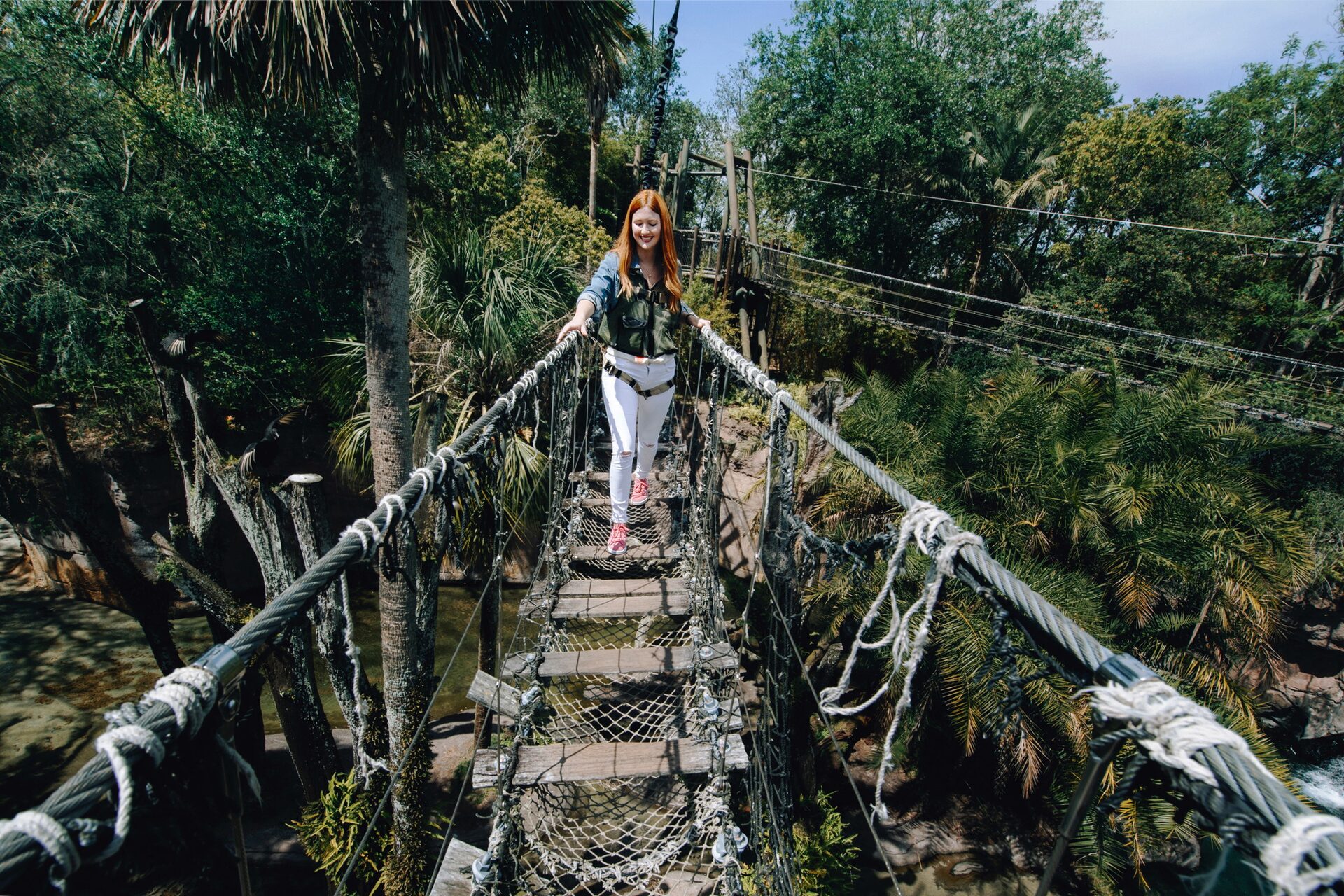 A guest crosses the Wild Africa Trek rope bridge, suspended above the canopy, at Disney’s Animal Kingdom. A guest crosses the Wild Africa Trek rope bridge, suspended above the canopy, at Disney’s Animal Kingdom.